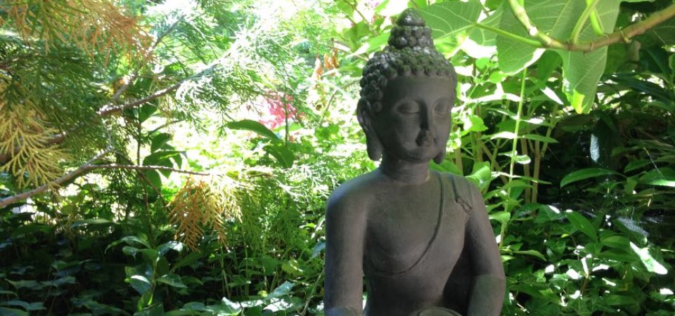 Du bist ein Buddha – Mysterium Meditation