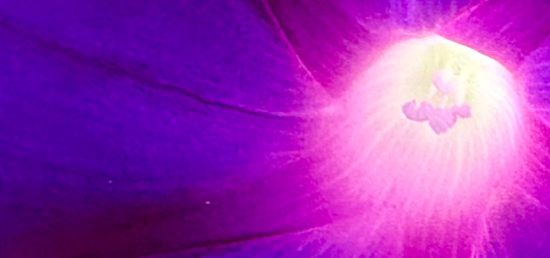 Sein, statt haben und statt Wuenschen Mysterium Meditation