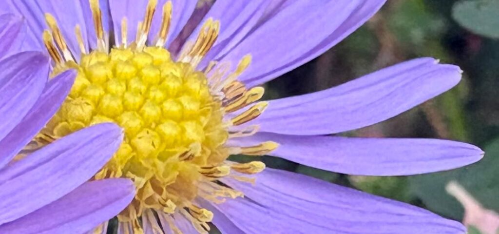 Passiv und empfaenglich sein Mysterium Meditation