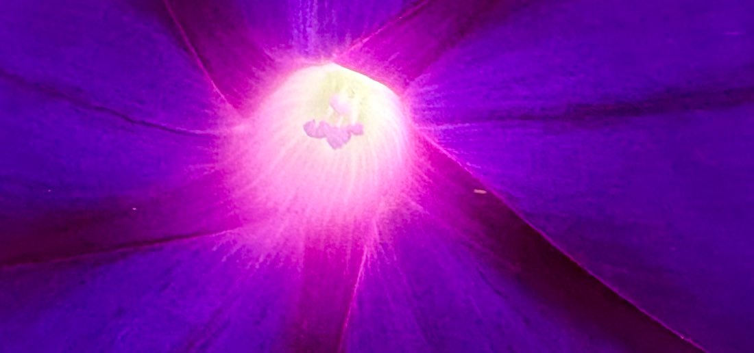 Mysterium Sterben Mysterium Meditation