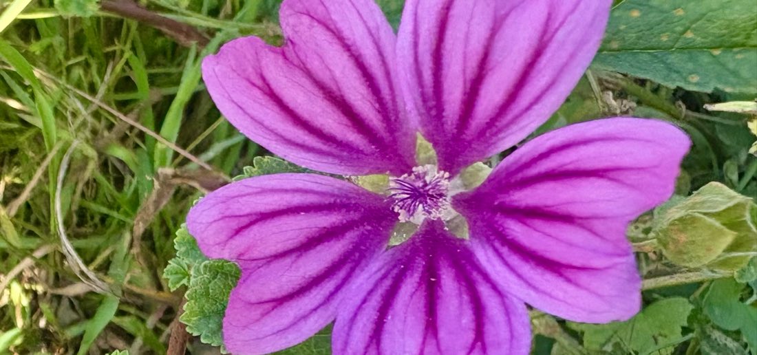 Sich im Zentrum wohlfühlen