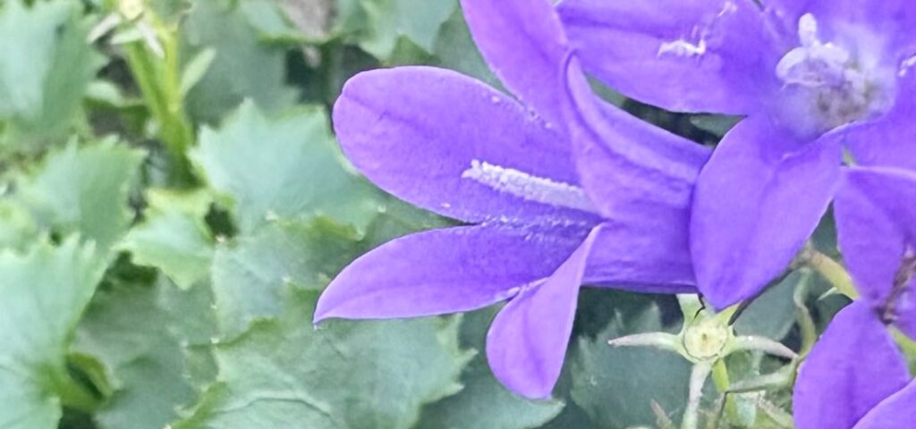 Gedanken sind Dinge Mysterium Meditation