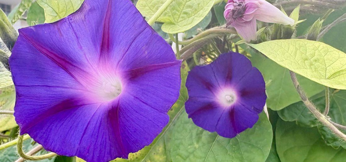 Das Leben – ein Spiel? Wirklich?