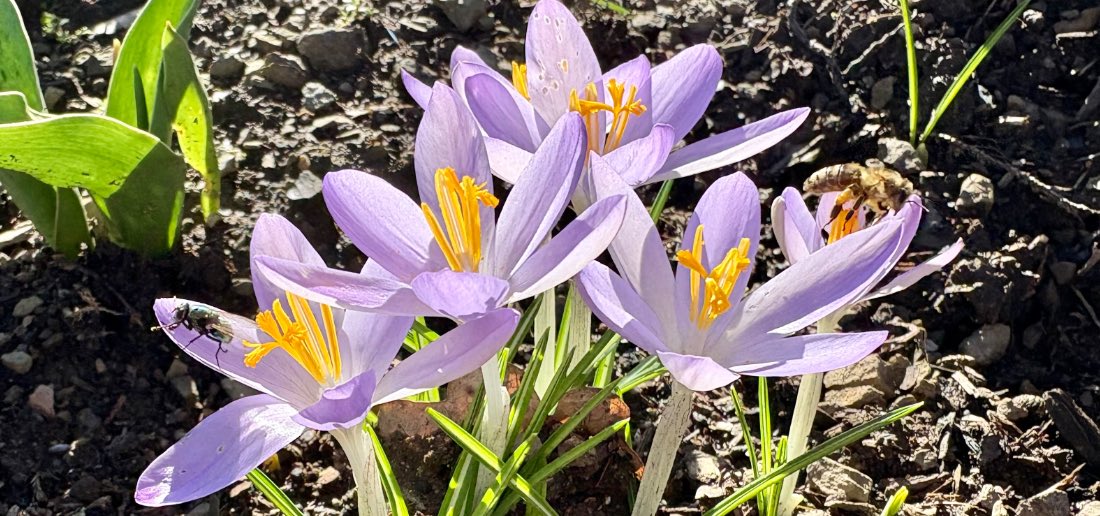 Die Wahrheit ist schon da