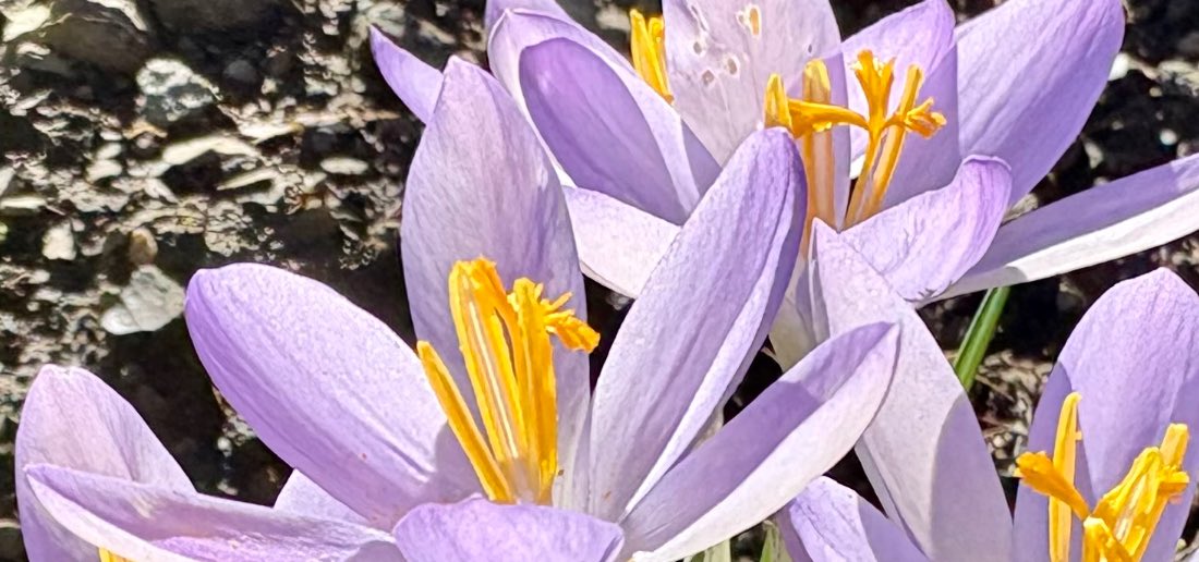 Die Wahrheit ist schon da