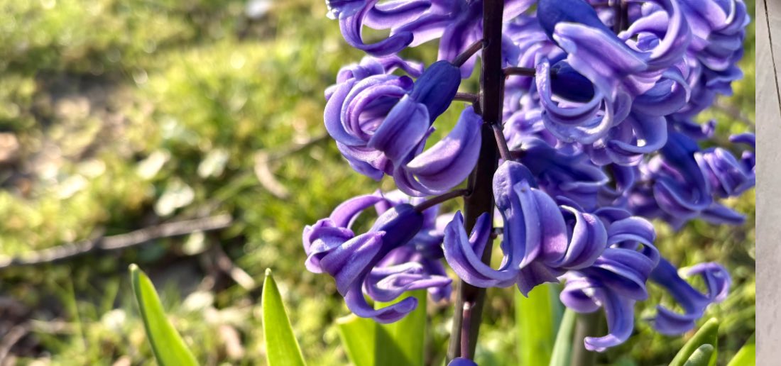 Meditieren – wie geht das?