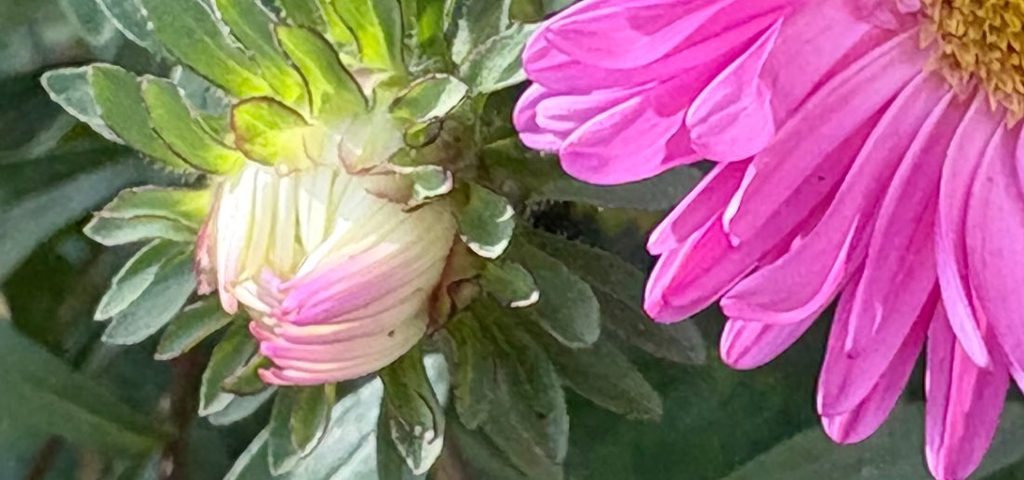 Tun, tun, tun, Mysterium Meditation